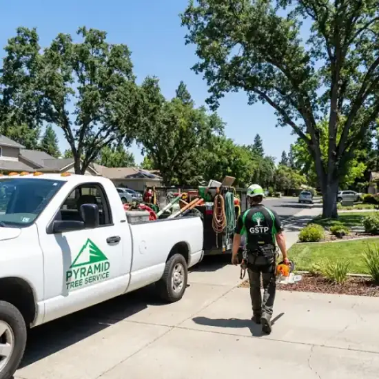 Greenline Tree Service truck arriving at a San Diego residential job
