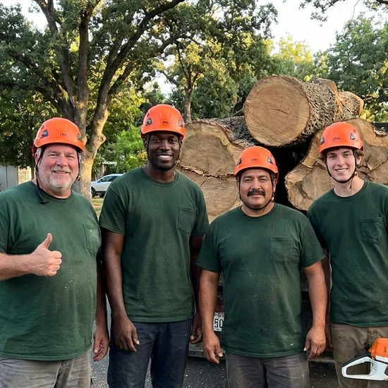 Greenline tree crew with a truck loaded with oak logs in San Diego