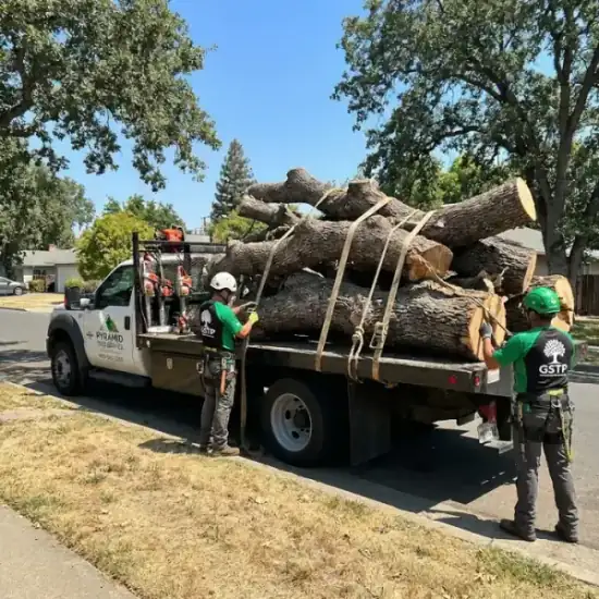 Tree service truck loaded with branches after a San Diego job